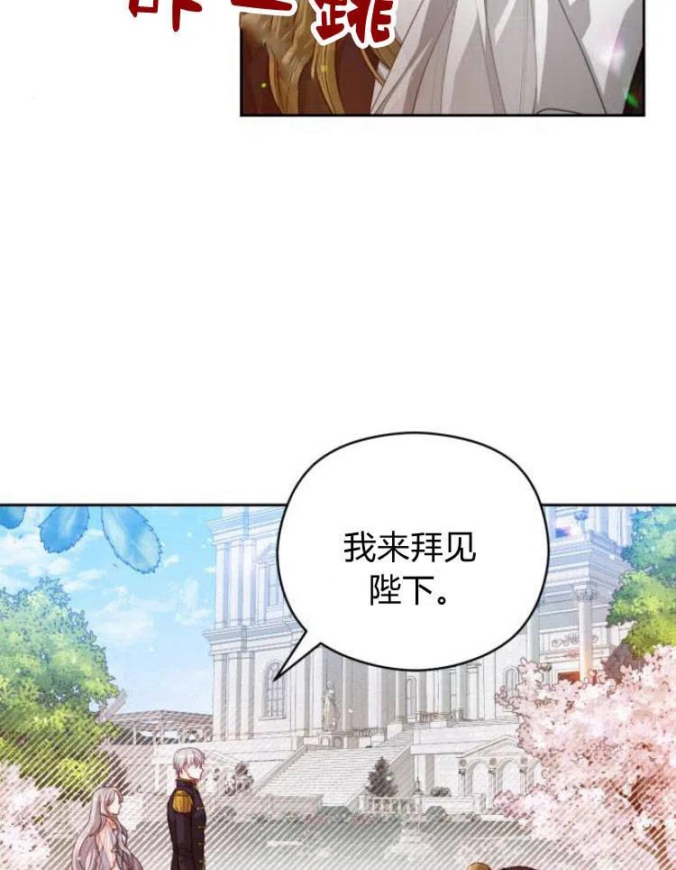 刀尖之吻 - 第13话 - 第40张图