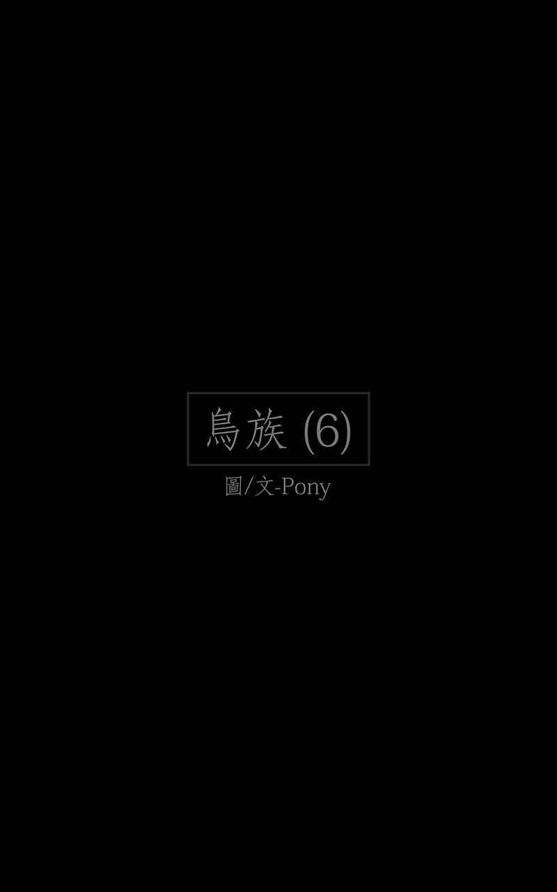黑盒子 [第218话] 鸟族(6) 第1页