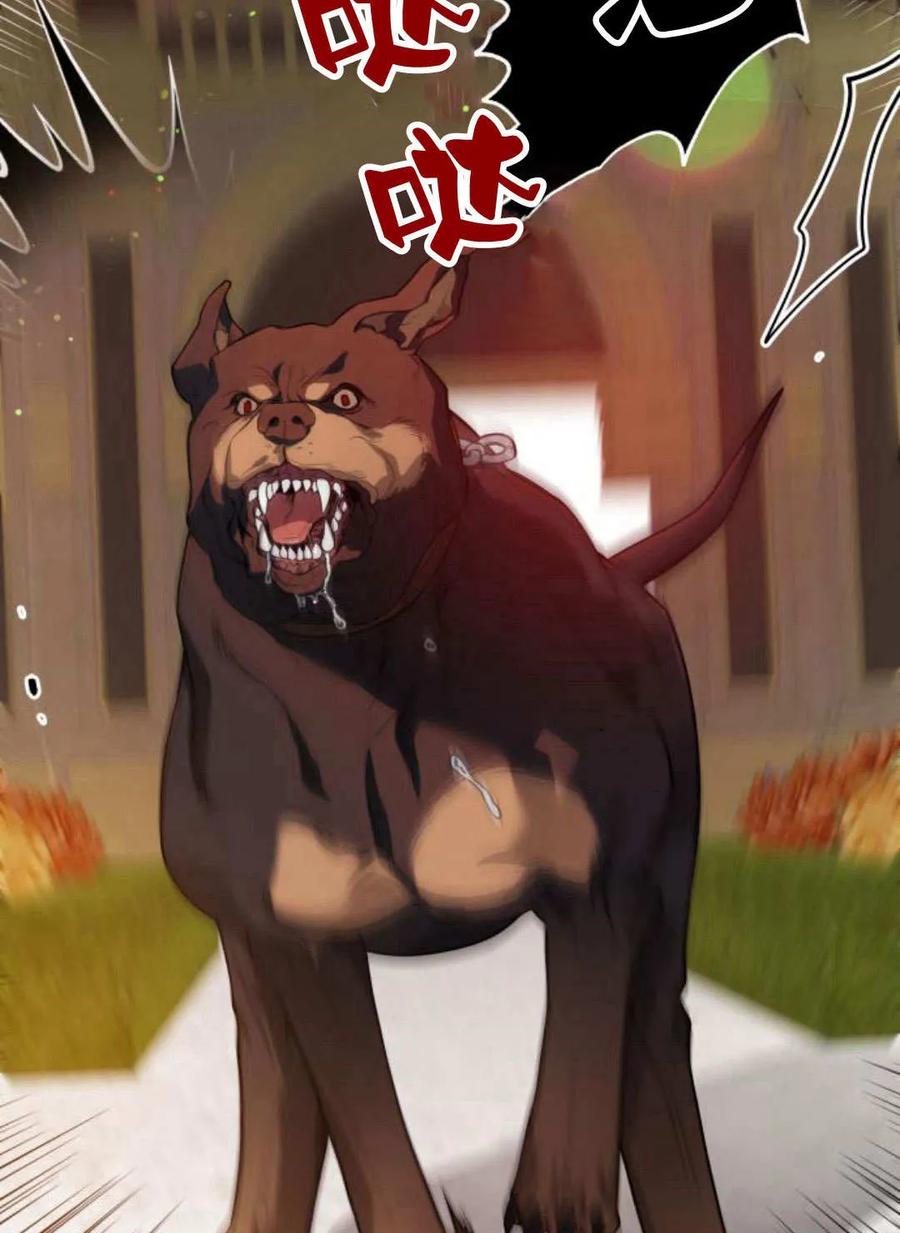 刀尖之吻 - 第37话 - 第41张图