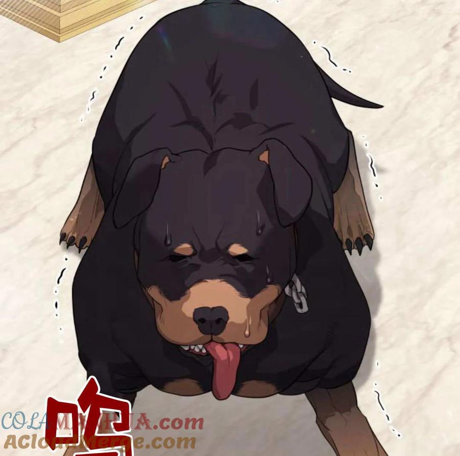 刀尖之吻 - 第37话 - 第82张图