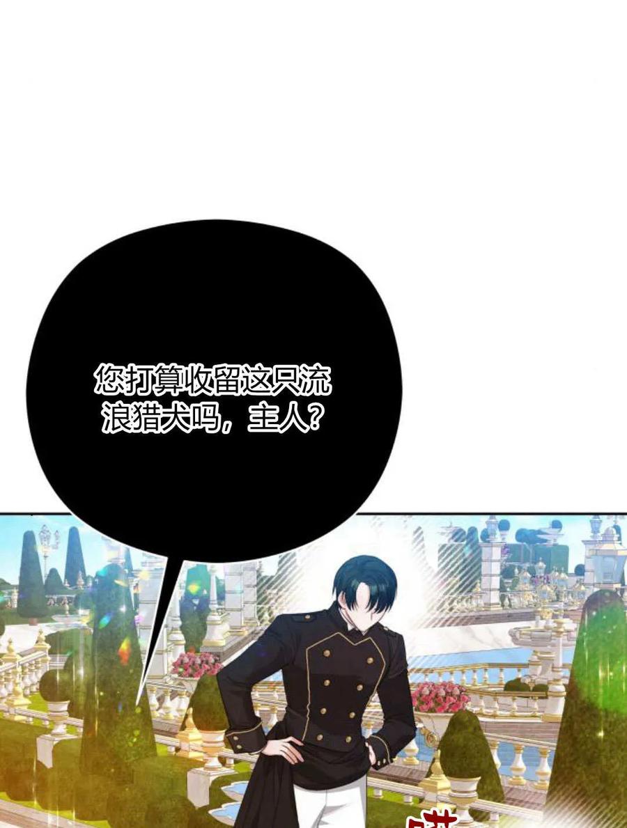 刀尖之吻 - 第39话 - 第31张图