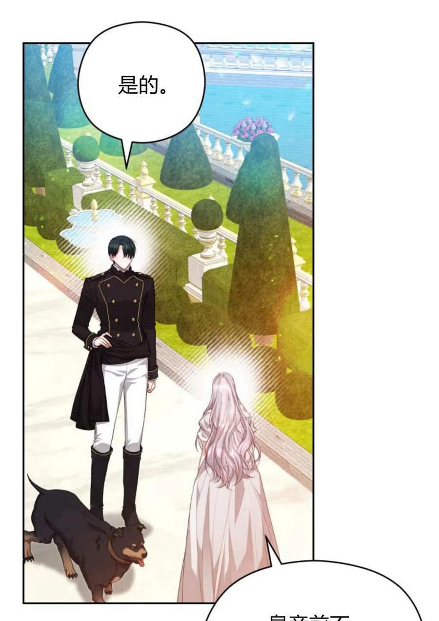 刀尖之吻 - 第39话 - 第63张图