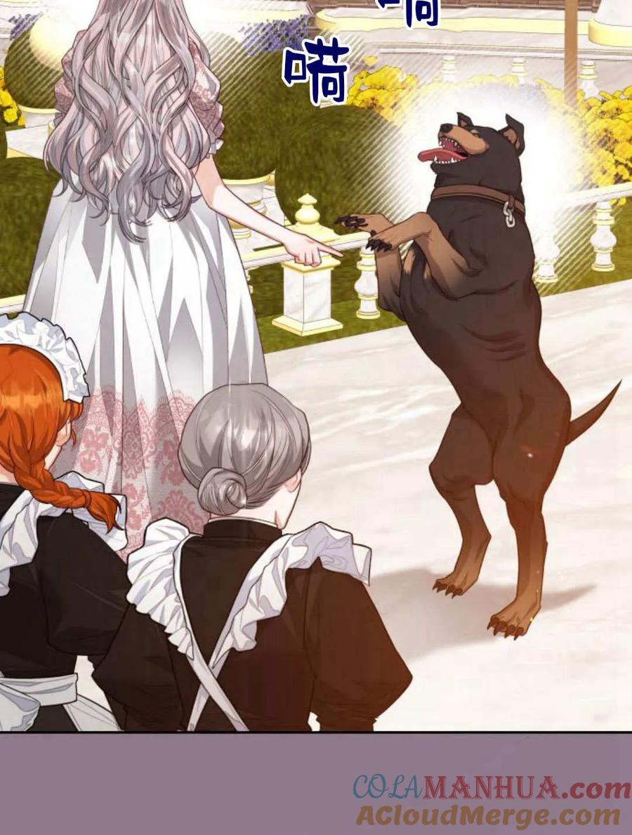 刀尖之吻 - 第39话 - 第37张图