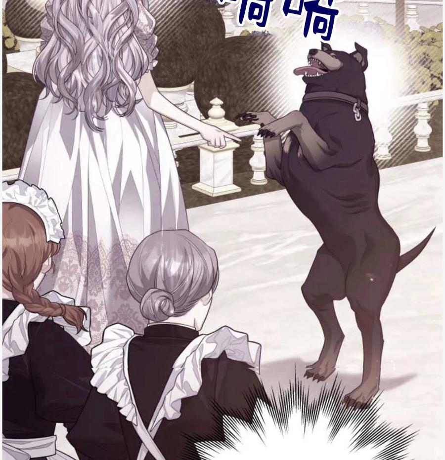 刀尖之吻 - 第50话 - 第59张图