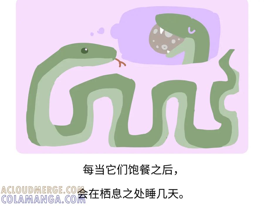 《胖达x胖达》第252话 第27页