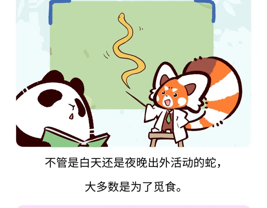 《胖达x胖达》第252话 第26页