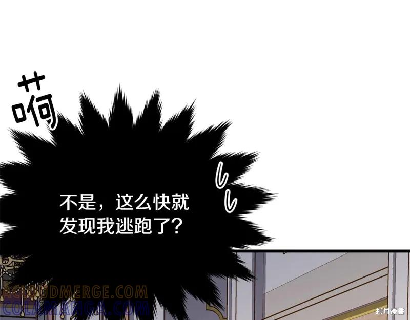 《明明是冷美人小姐却变成了忠犬大少爷》第72话 第101页