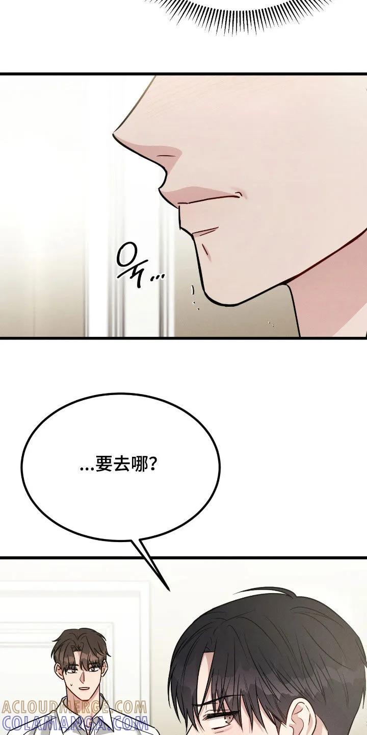 《强制暗示》第110章：【第二季】跟踪 第17页