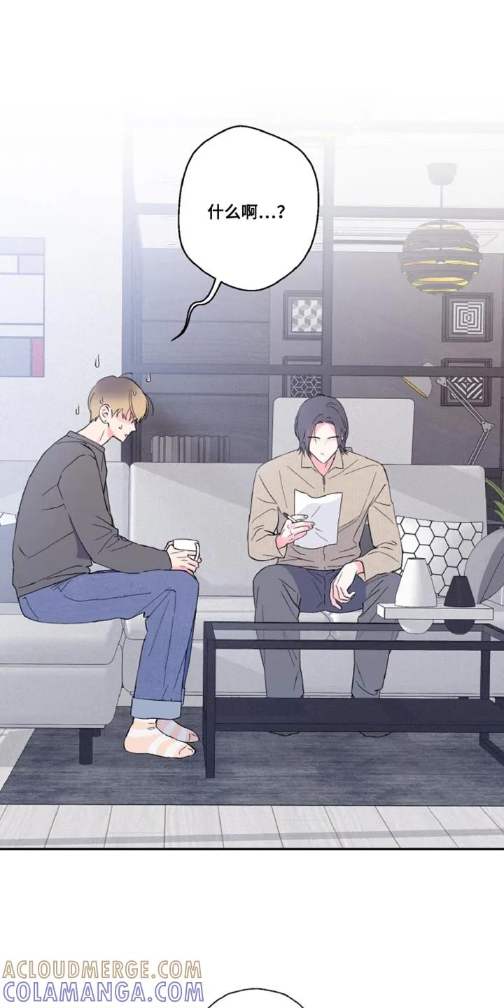 《倒霉经纪人》第16章：协议 第3页