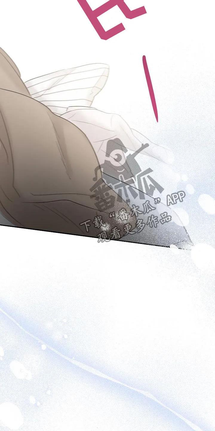 《刻意接近》第50章：表明心意 第12页