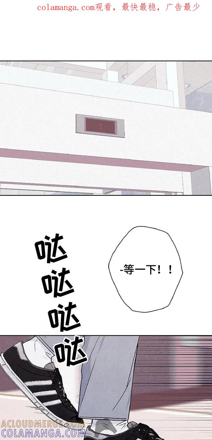 《倒霉经纪人》第53章：我最想念你了 第1页