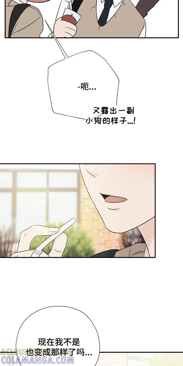 《刻意接近》第54章：不讨厌 第19页