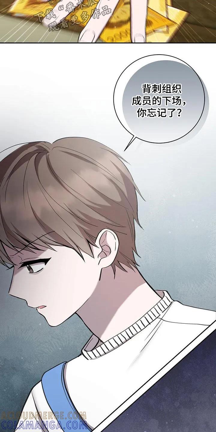《大哥变身高中生》第57章：七星派 第15页