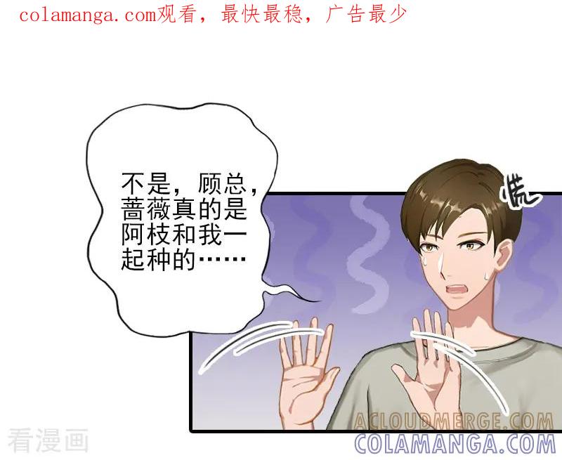《霸道顾少，请温柔》第29话 或许我们真的不能在一起 第1页