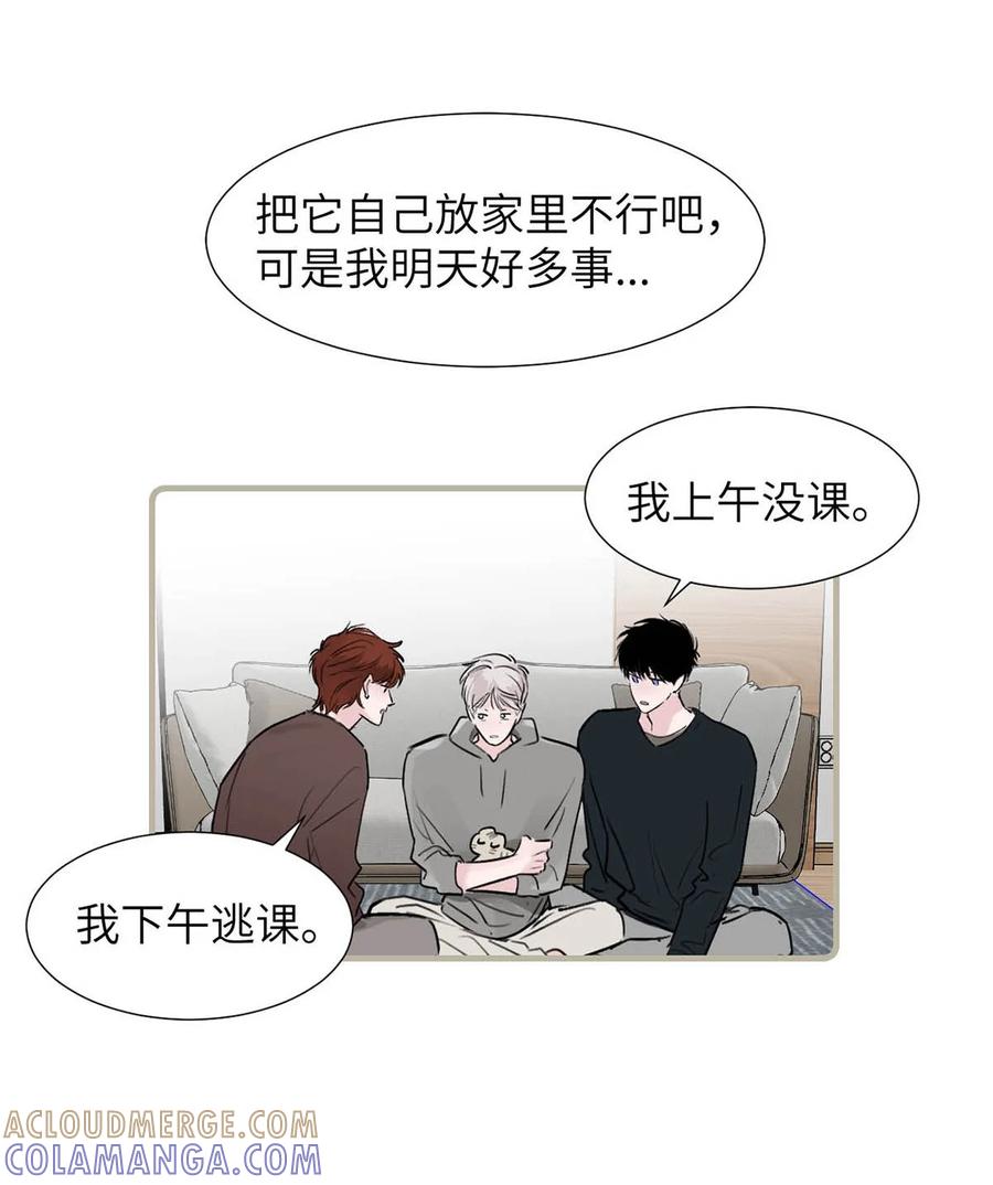 《靠发小我变身顶级向导》请假小剧场之 捡到一只小猫。 第3页