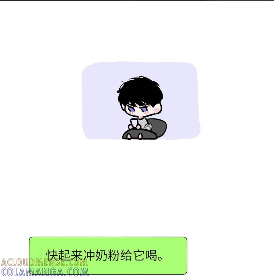 《靠发小我变身顶级向导》请假小剧场之 捡到一只小猫。 第7页