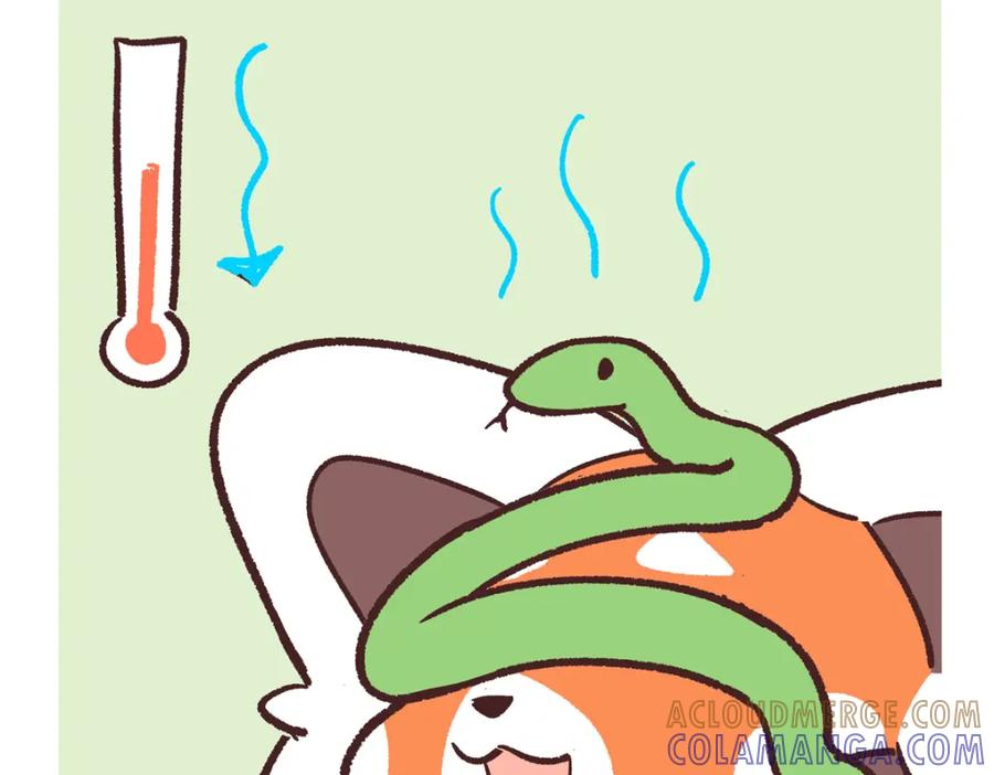 《胖达x胖达》第251话 第5页