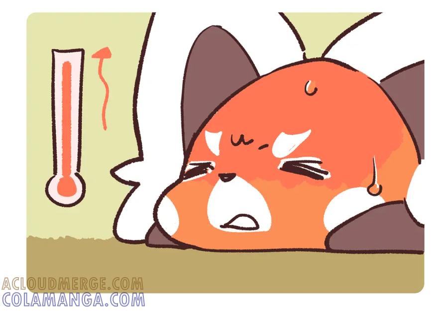 《胖达x胖达》第251话 第3页