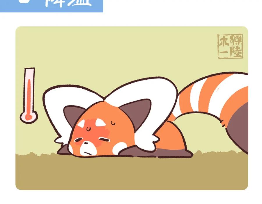 《胖达x胖达》第251话 第2页