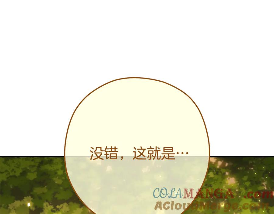重启地下城 第229话 真正的世界树 第237页