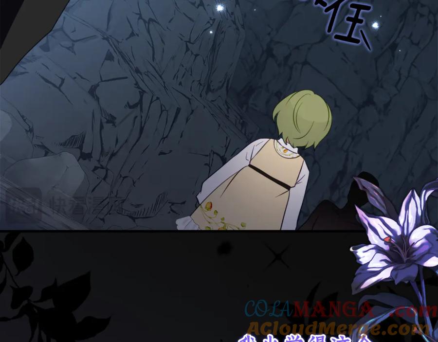 《刻薄公爵家的合约女儿》第47话 用诅咒破坏诅咒 第121页