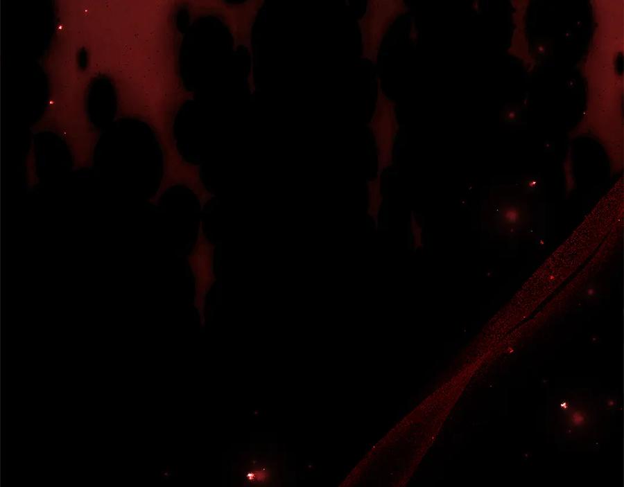 《刻薄公爵家的合约女儿》第49话 空虚恶魔 第131页