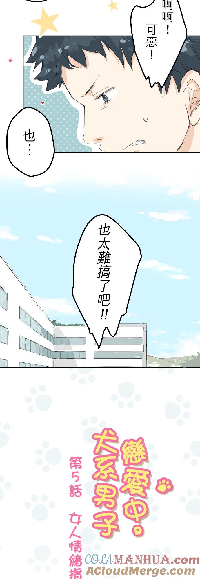 《犬系男子恋爱中》第5话 女人情绪指南 第3页