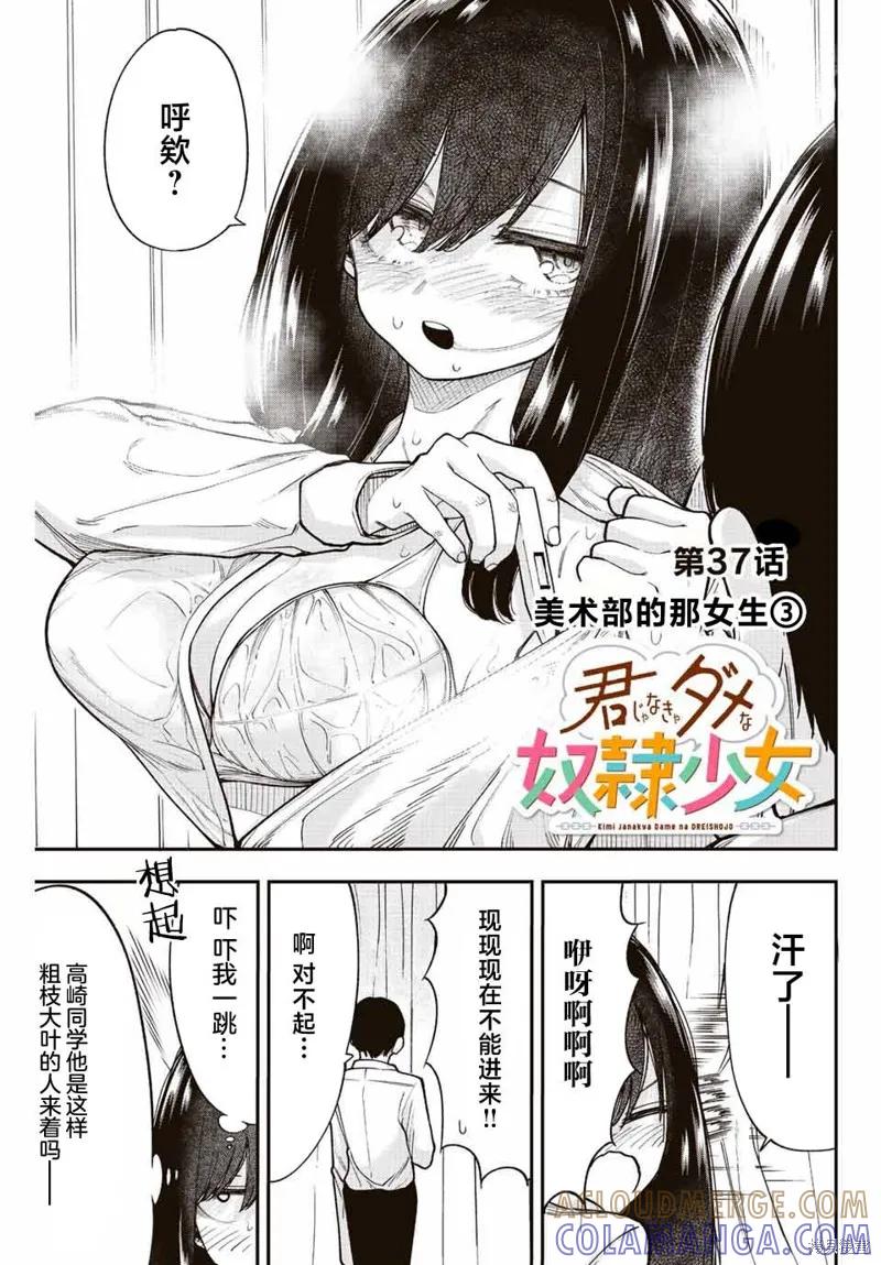 《只属于你的奴隶少女》第37话 第3页