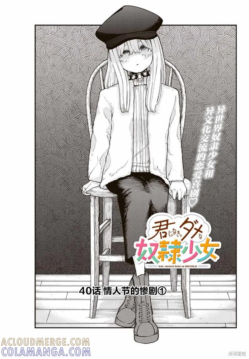 《只属于你的奴隶少女》第40话 第3页