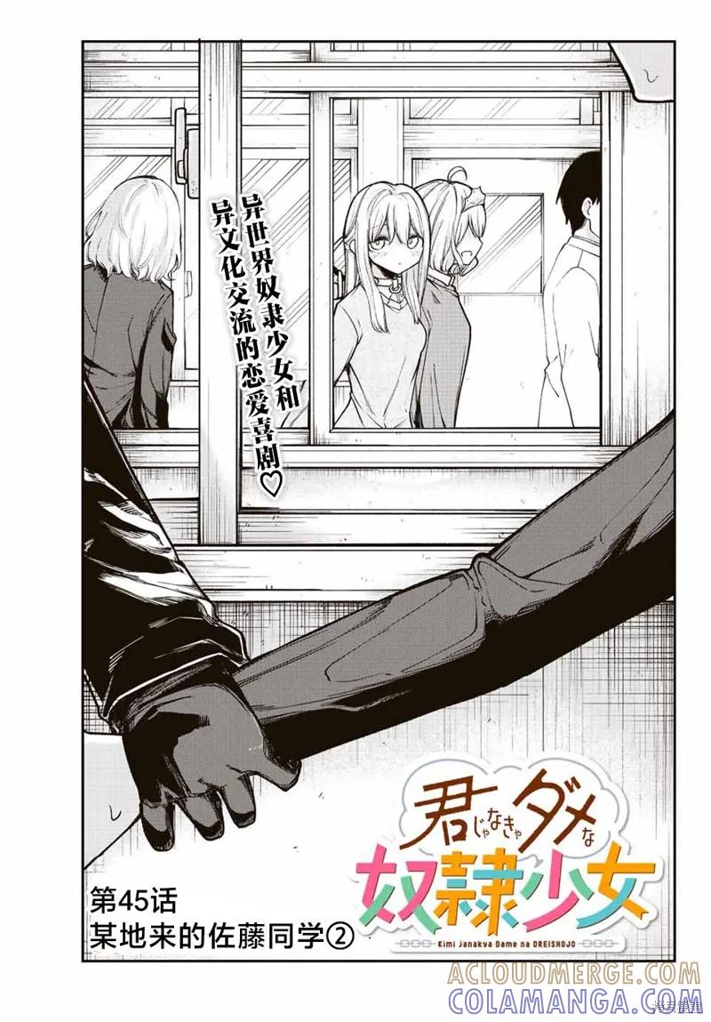 《只属于你的奴隶少女》第45话 第3页
