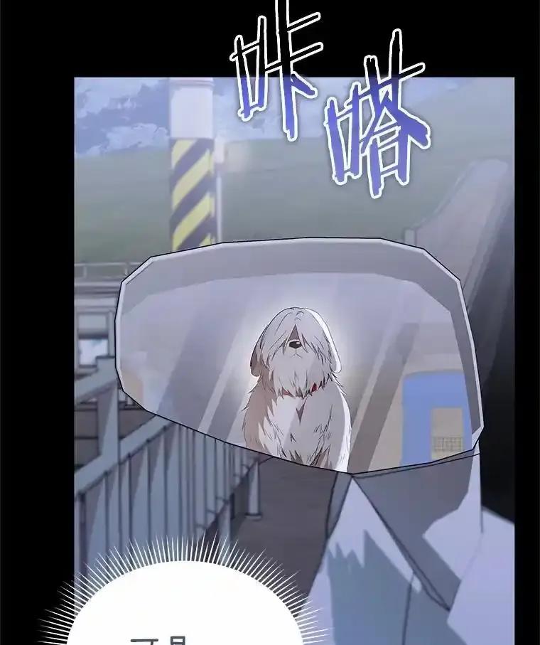 《你好？兽医先生！》59.我们回家吧 第56页