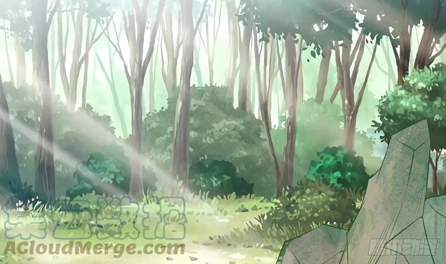 打死也不做师尊 第9话 太子的另一半 第52页