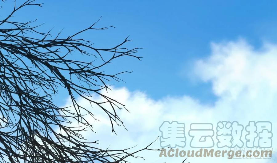 打死也不做师尊 第133话 为师带你走！ 第4页
