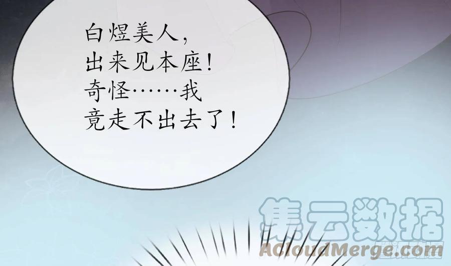 打死也不做师尊 第41话 什么是夜战群芳图？ 第19页