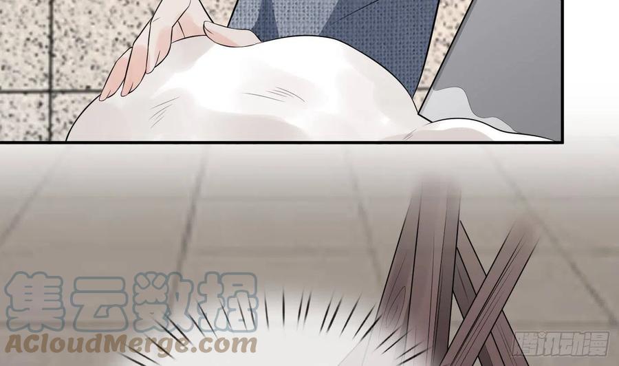 打死也不做师尊 第55话 太子吓死人了 第58页