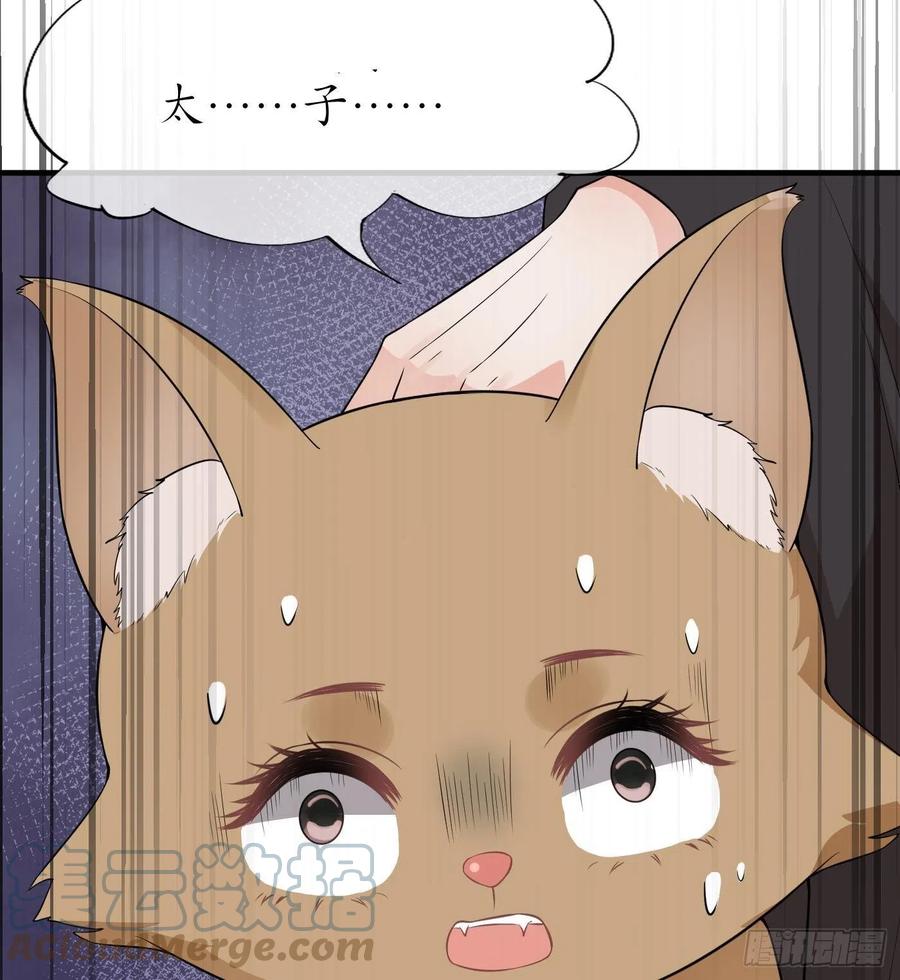 打死也不做师尊 第75话 被动物占便宜了 第46页