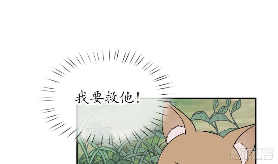 打死也不做师尊 第75话 被动物占便宜了 第32页