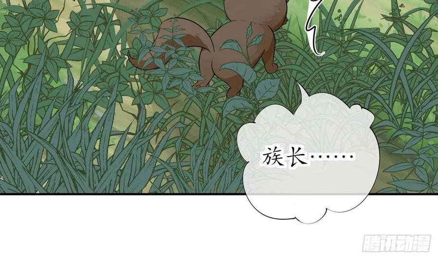 打死也不做师尊 第75话 被动物占便宜了 第36页