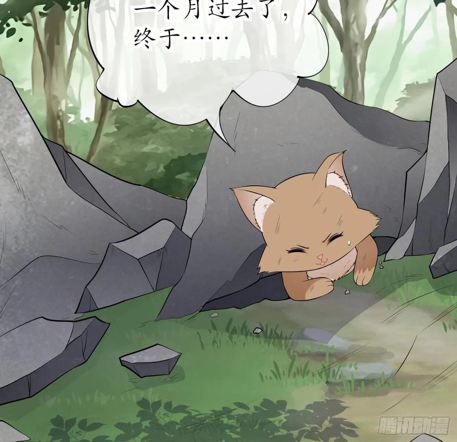 打死也不做师尊 第75话 被动物占便宜了 第23页