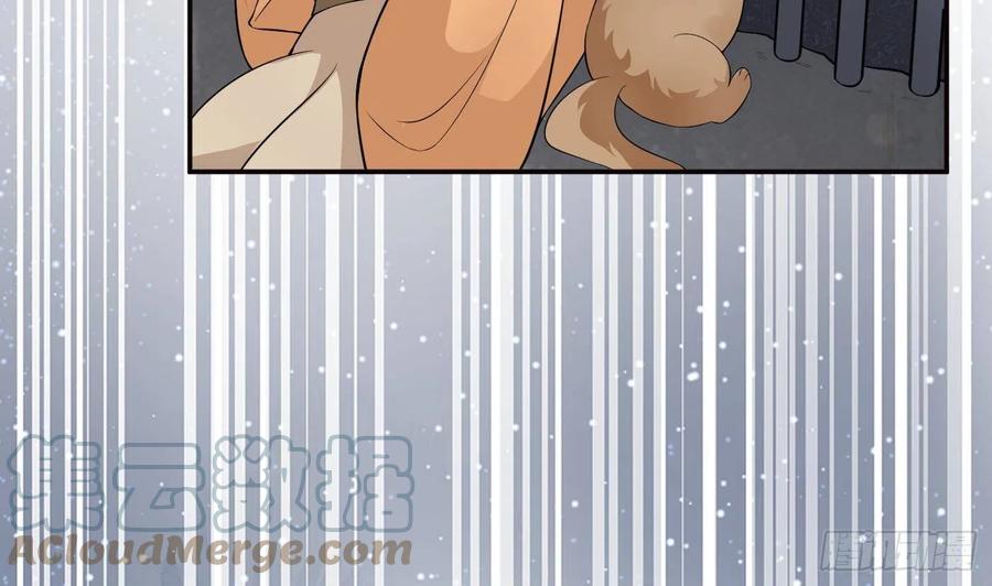 打死也不做师尊 第75话 被动物占便宜了 第19页