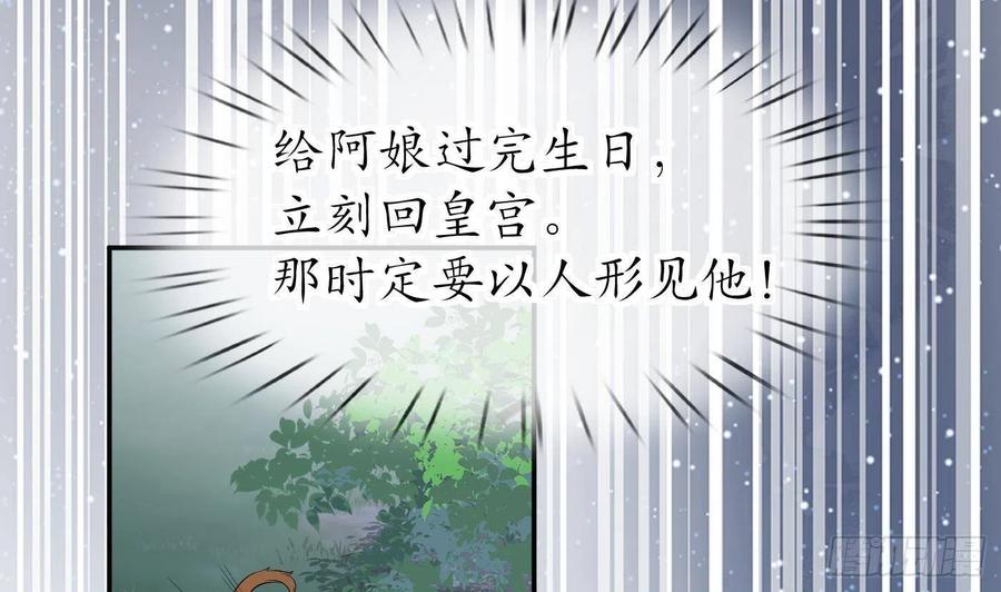 打死也不做师尊 第75话 被动物占便宜了 第14页