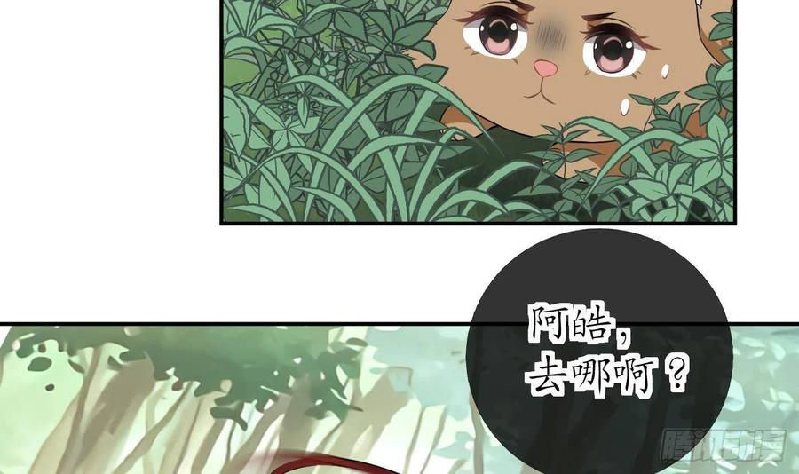 打死也不做师尊 第75话 被动物占便宜了 第33页
