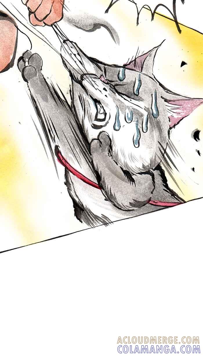 猫剑客 [第35话] 寻 第13页