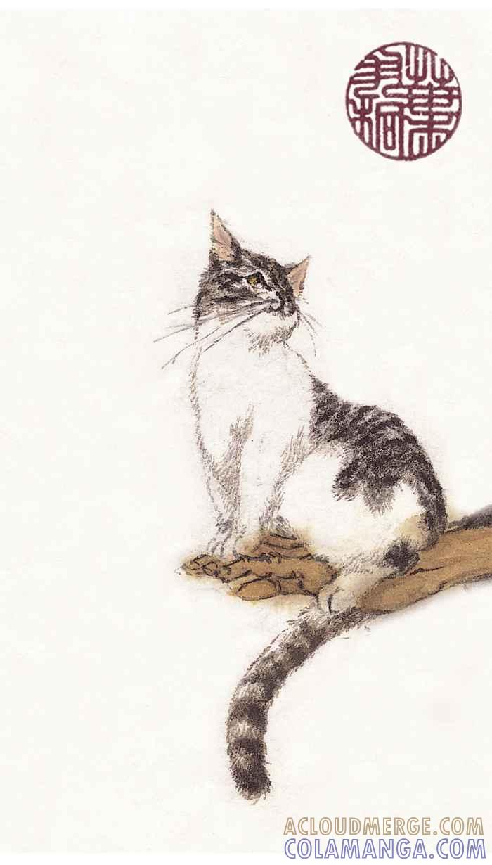 猫剑客 [第36话] 布布找斗笠 第29页