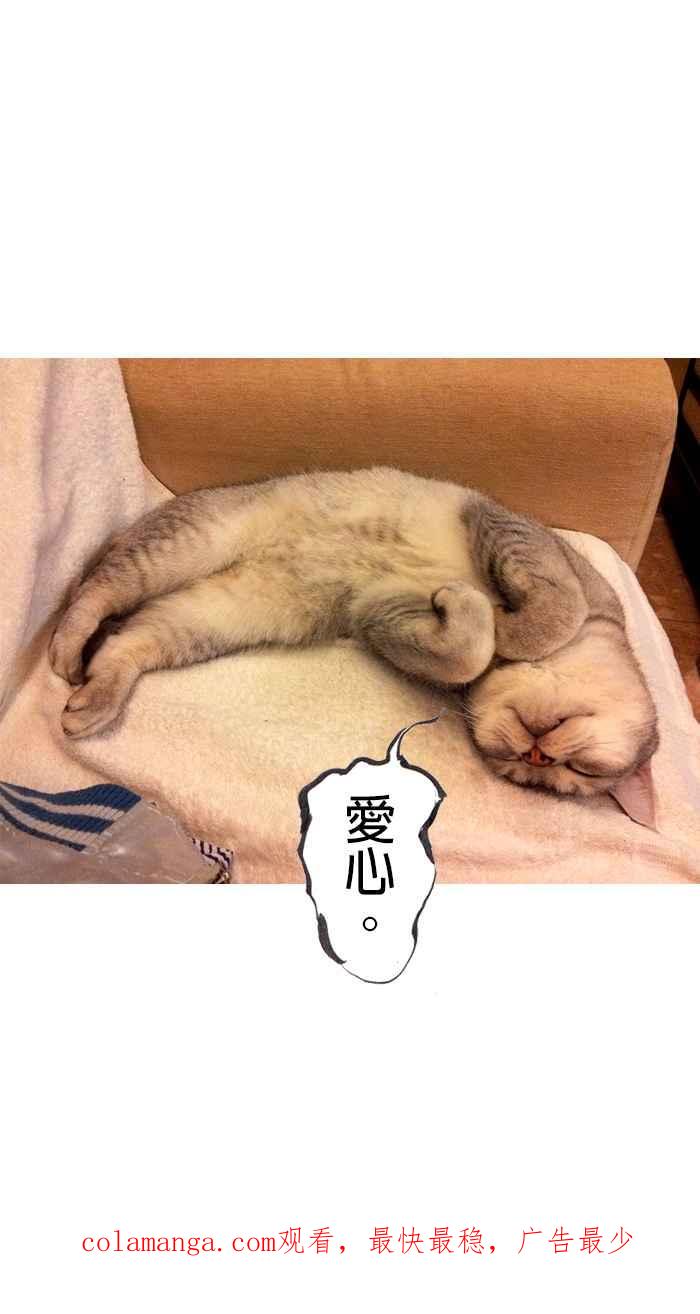 猫剑客 [第37话] 我相信你 第32页