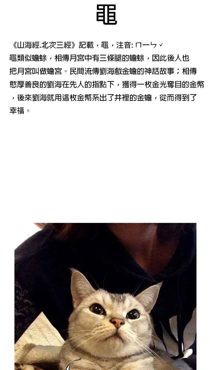 猫剑客 [第38话] 常羲 第38页