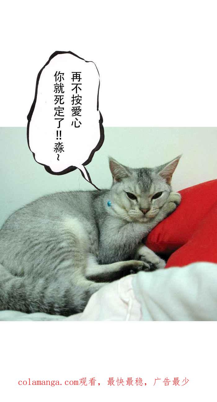 猫剑客 [第43话] 冲三发七十五岁的烦恼 第34页