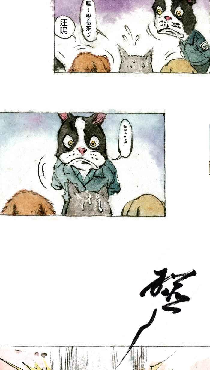 猫剑客 【军旅特别篇】 布布大兵日记 第15页
