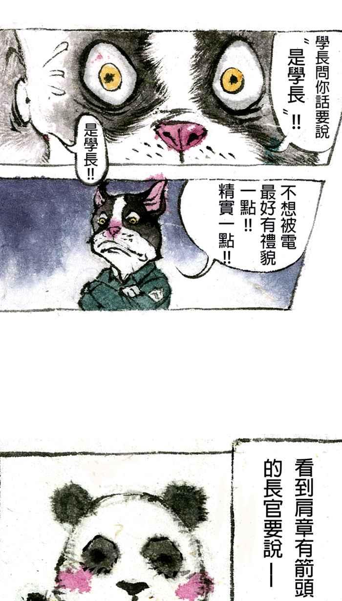 猫剑客 【军旅特别篇】 布布大兵日记 第17页