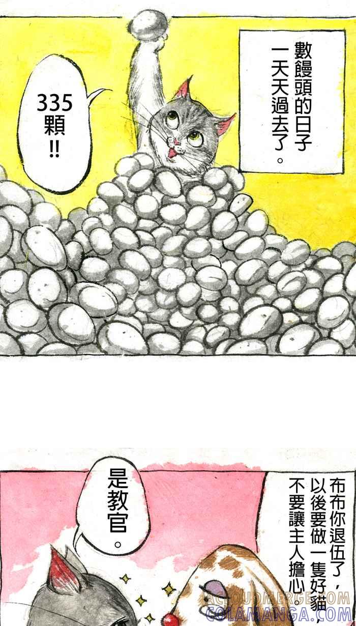 猫剑客 【军旅特别篇】 布布大兵日记 第46页